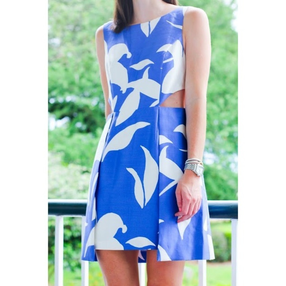 Tuckernuck Anna Cate Jacqueline Dress in Garden Proper Print Blue White Silk 2